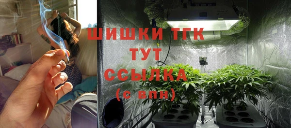 молекула духа Абинск