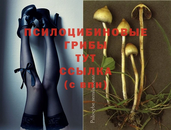 молекула духа Абинск